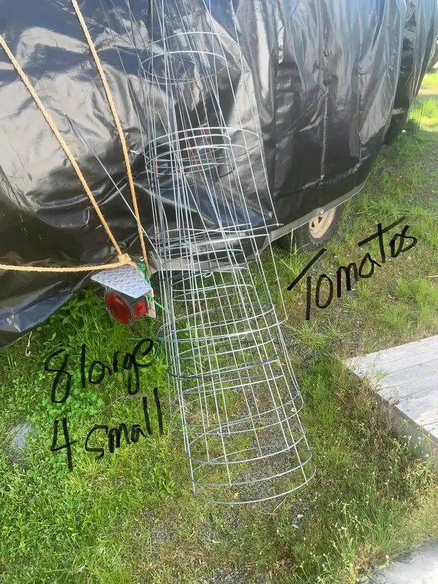 tomato/ flower cages