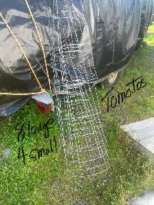tomato/ flower cages
