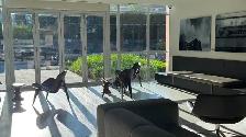 Best Deal Downtown Sought After Condo Studio available $1780 - Photo 5