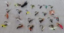 SALMON FLIES - Photo 2