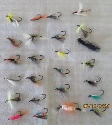 SALMON FLIES - Photo 3