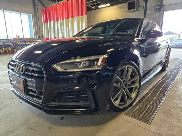 2019 Audi A5 Sportback S-Line Progressiv | No Accidents