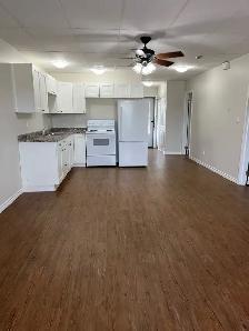 Newly Renovated, 2 Bedroom, 2nd floor walk-up. - Photo 2