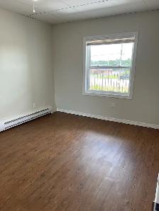 Newly Renovated, 2 Bedroom, 2nd floor walk-up. - Photo 7