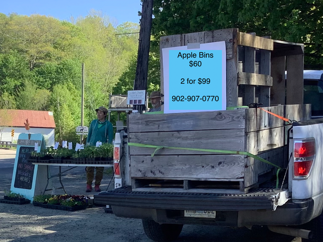 Apple Bins for Sale
