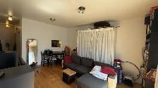 4 1/2, $1450, Métro Frontenac, Ville Marie, - Photo 3