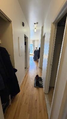 4 1/2, $1450, Métro Frontenac, Ville Marie, - Photo 12