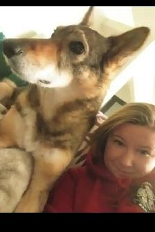 Pet Sitter/Dog Walker - Photo 7