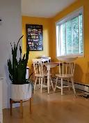 Ste-Foy, 4½ juillet 2026, TOUT INCLUS, secteur paisible 1059$ - Photo 2