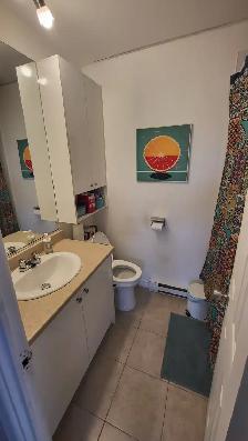 Ste-Foy, 4½ juillet 2026, TOUT INCLUS, secteur paisible 1059$ - Photo 5