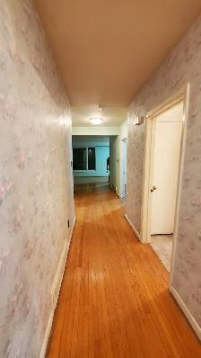 Single Bed room OR 3 bedroom bungalow for rent - Photo 3