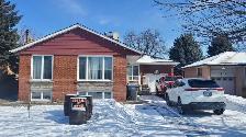 Single Bed room OR 3 bedroom bungalow for rent - Photo 12