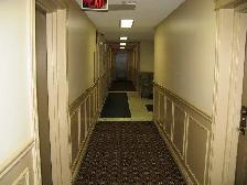 EXCLUSIVE! RARE 1 BEDROOM APARTMENT FOR RENT IN DOWNTOWN WHITBY. - Photo 4