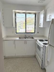 EXCLUSIVE! RARE 1 BEDROOM APARTMENT FOR RENT IN DOWNTOWN WHITBY. - Photo 7