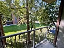 Park East - 1160 Lauzon Rd - Large 2 Bedroom - Photo 4