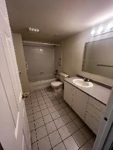 Park East - 1160 Lauzon Rd - Large 2 Bedroom - Photo 10