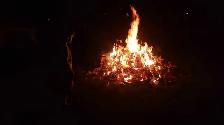 firewood