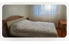 Bright & Beautiful Furnished Room - Toronto $1200 utilities incl - Photo 5
