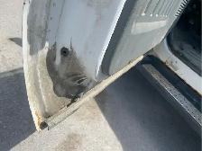 2015 Ford F-250 Super Duty w/Side Airbags/Curtains Delete - Photo 37
