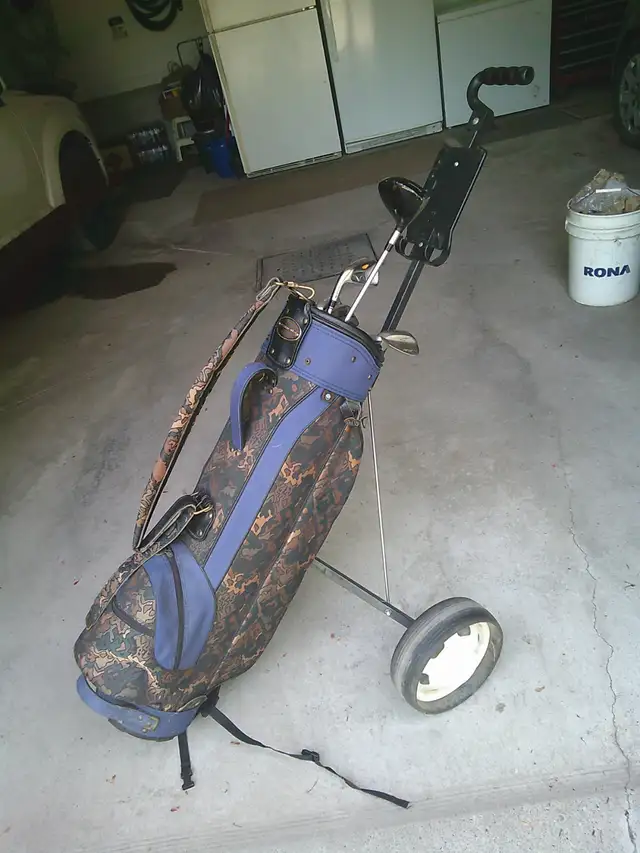 TAYLORMADE 3 WOOD 6 IRON,LOB AND SAND WEDGE, BAG/SAC AND CART