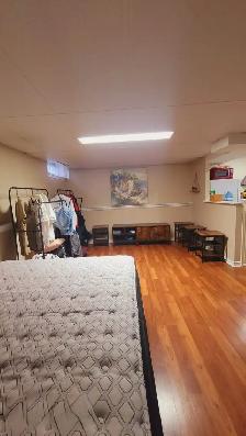 A fully furnished basement with a full bathroom and kitchen - Photo 9