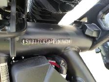 2024 Harley-Davidson Sportster - Photo 6