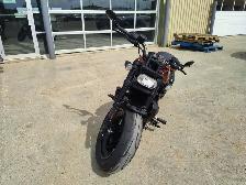 2024 Harley-Davidson Sportster - Photo 12