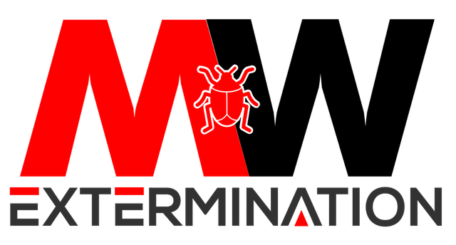 Exterminateur certifié Granby | 24/7 | MW Extermination