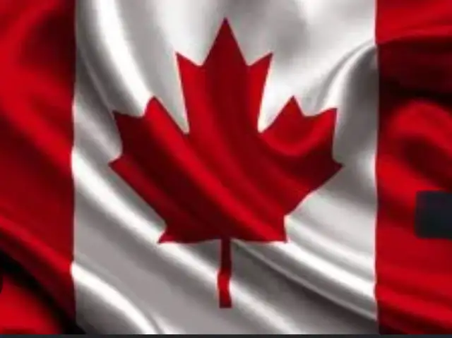 Looking reliable helper for general help Niagara fall