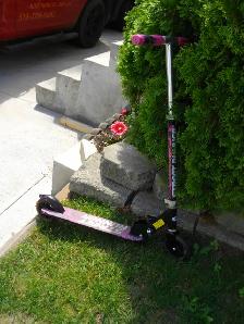 kids scooter $10