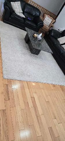 CARPET 8X10 AREA