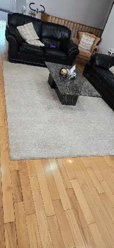 CARPET 8X10 AREA - Photo 4