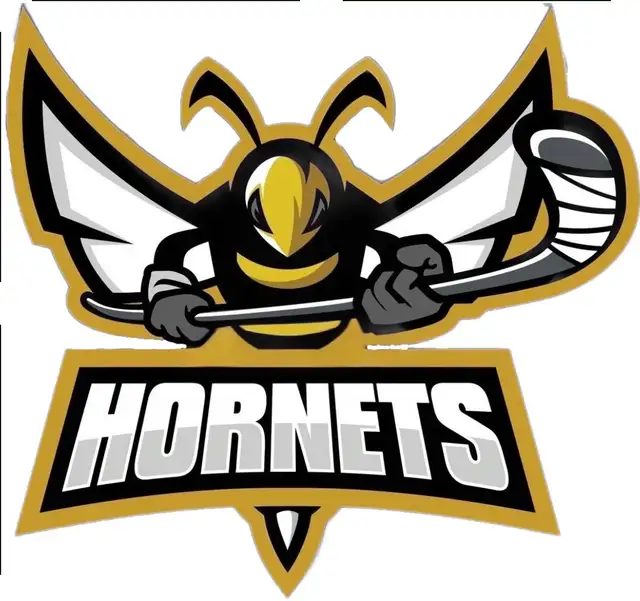 looking for Hockey Player - winter season