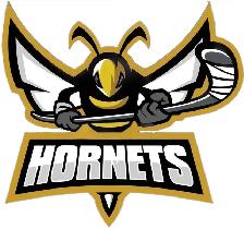 looking for Hockey Player - winter season