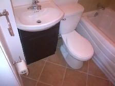 2BR plus den - Photo 5