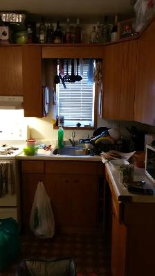 2BR plus den - Photo 7