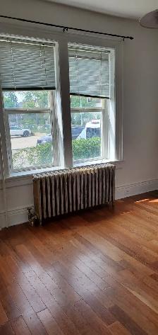 2BR plus den - Photo 10