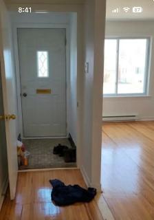 Appartement 5 1/2 à louer