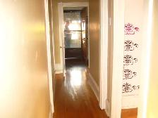 One Bedroom Apartment- Sandy Hill Area - Photo 2