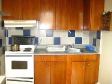 One Bedroom Apartment- Sandy Hill Area - Photo 5
