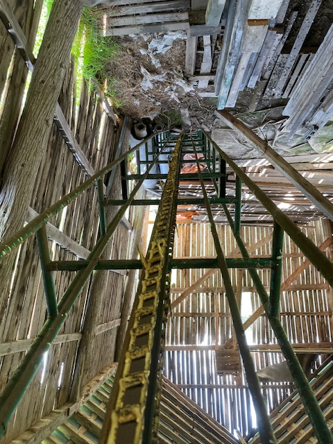 hay/straw conveyor