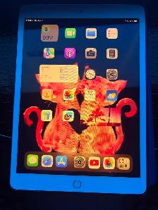 Ipad 7th generation - Photo 4