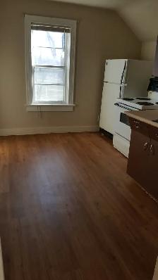 1BR plus den - Photo 6