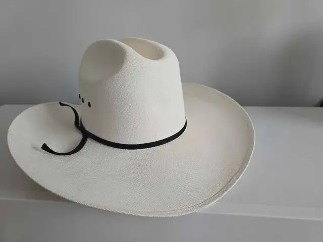 LAMMLES WESTERN COWBOY HAT for 20