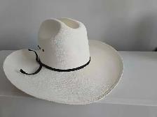LAMMLES WESTERN COWBOY HAT for 20