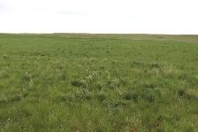 925 Acres of Pasture & Hay Land | Admiral, SK Area - Photo 2