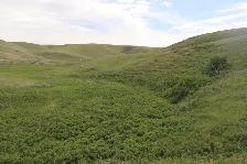 925 Acres of Pasture & Hay Land | Admiral, SK Area - Photo 3