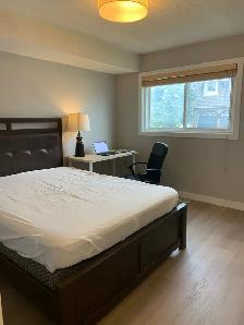 cozy apartment room for rent! - Photo 10