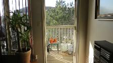 Clayton Park - Photo 10