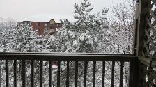 Clayton Park - Photo 11